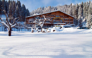 Náhled objektu Panoramahotel Talhof, Wängle bei Reutte, Tannheimer Tal / Reutte, Rakousko