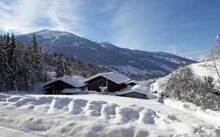 Náhled objektu Apartmánový dům Schönwies, Alpbach, Alpbachtal / Wildschönau, Rakousko