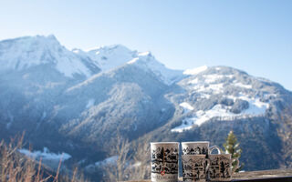 Náhled objektu CH1883.400, Gryon / Barboleusaz, Villars, Les Diablerets, Švýcarsko