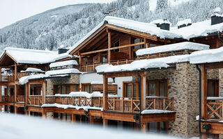 Náhled objektu DAS Neukirchen - Wildkogel Resorts, Neukirchen am Grossvenediger, Oberpinzgau, Rakousko