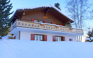 Náhled objektu Le Hibou, Nendaz, 4 Vallées - Verbier / Nendaz / Veysonnaz, Švýcarsko