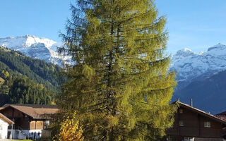 Náhled objektu Oberriedstrasse 5, Lenk im Simmental, Adelboden - Lenk, Švýcarsko