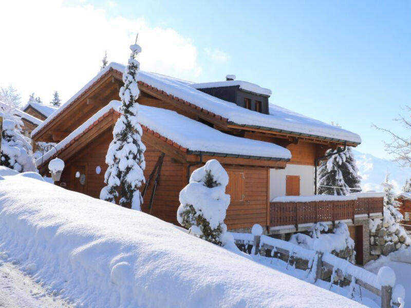 Chalet Petit Pont