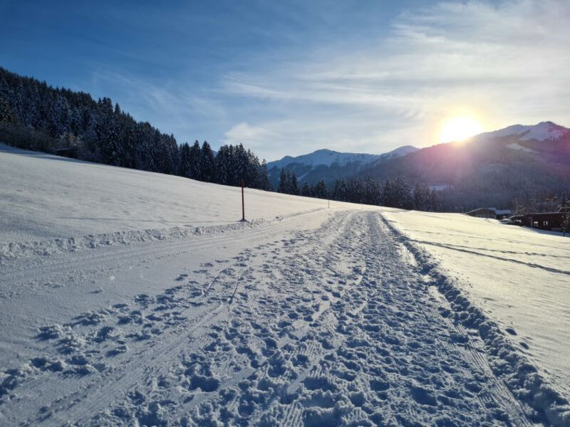 Alpine Residence Auszeit