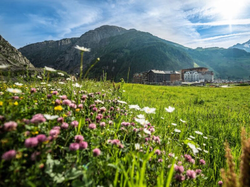 Andermatt Alpine Apartments