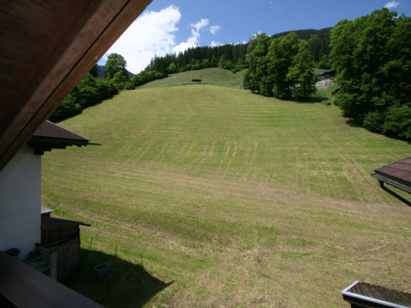 Bauernhaus Schusterhäusl