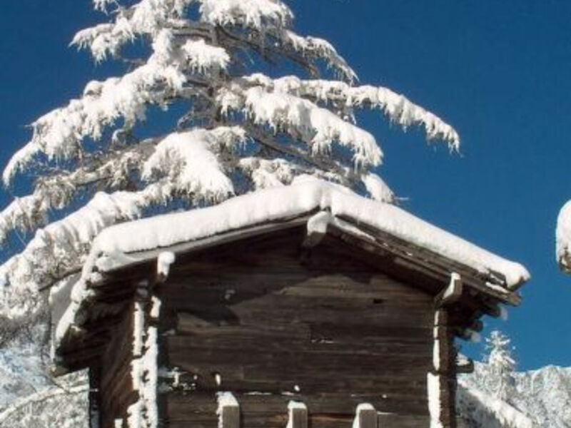 Chalet Alpenrösli