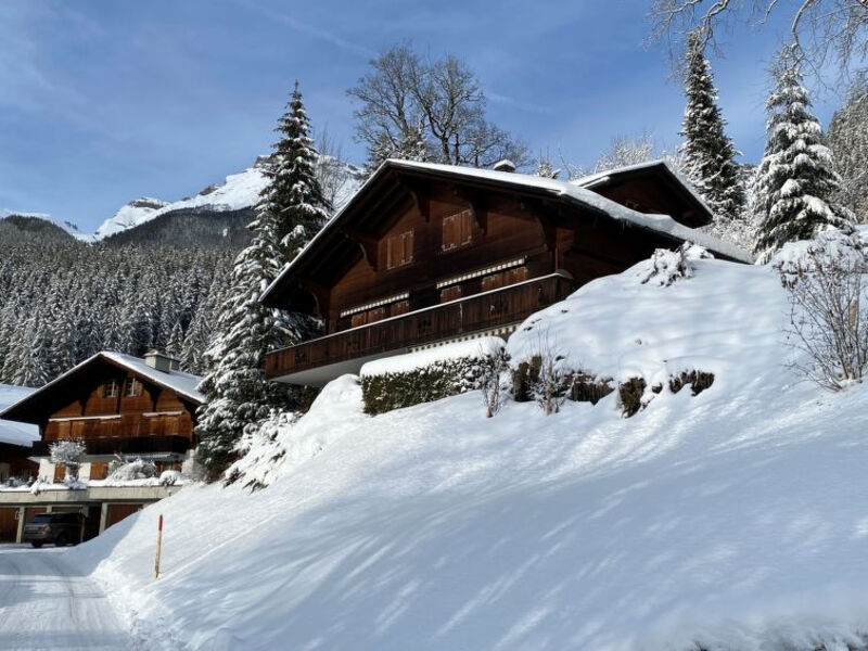 Chalet Hobelbank