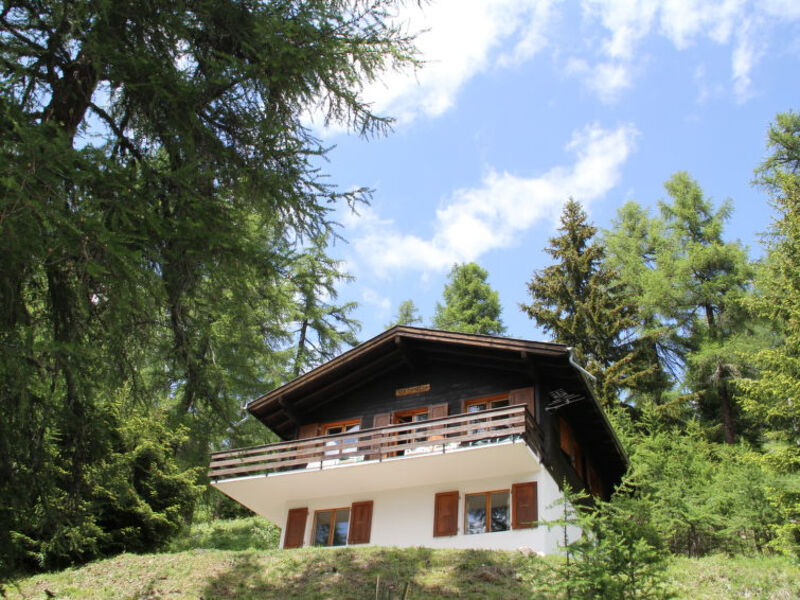 Chalet Soldanella (BEL205)