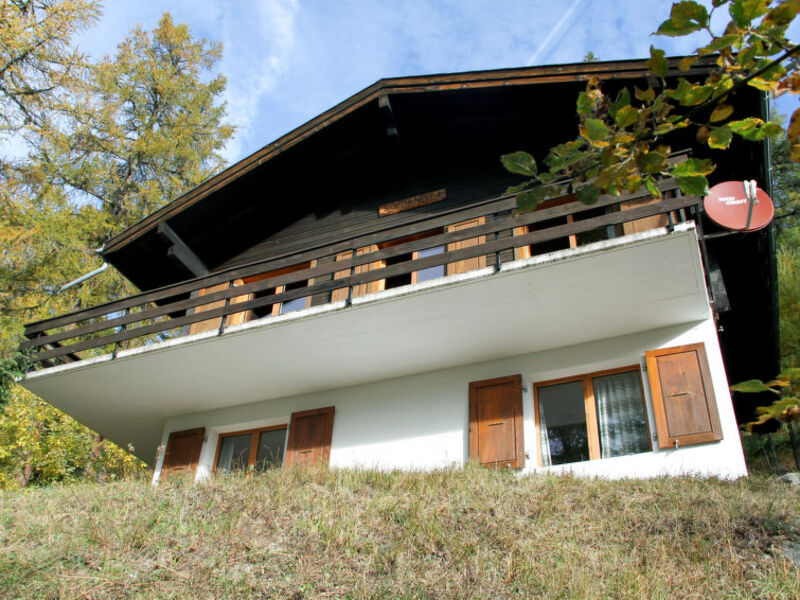 Chalet Soldanella (BEL205)