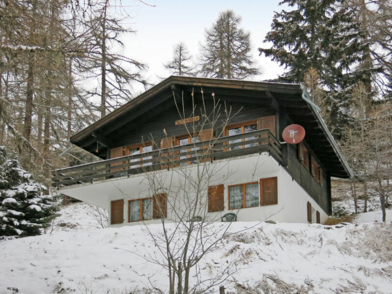 Chalet Soldanella (BEW205)