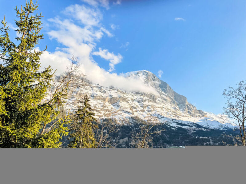 Chalet Tannengüetli