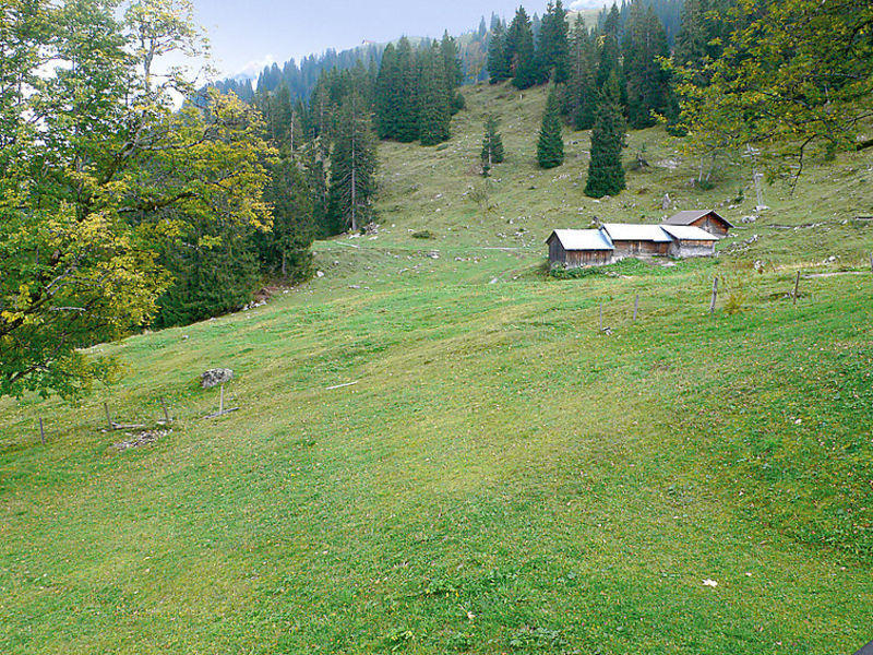 Dachgeschoss Wohnung