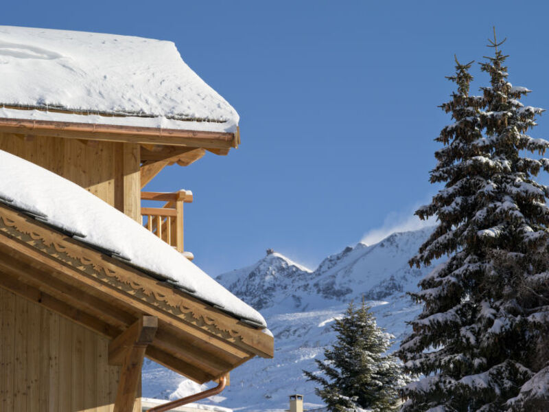 Le Cristal de l'Alpe (APU100)