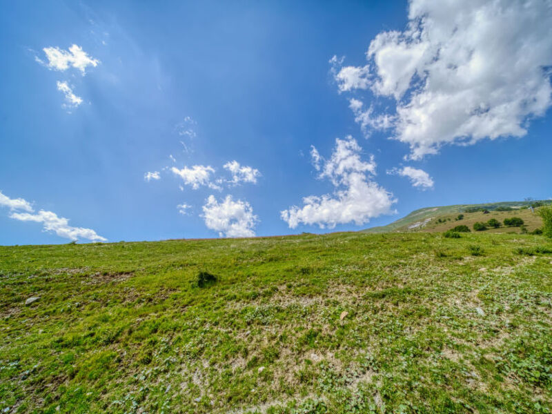 LES ALPAGES DU CORBIER