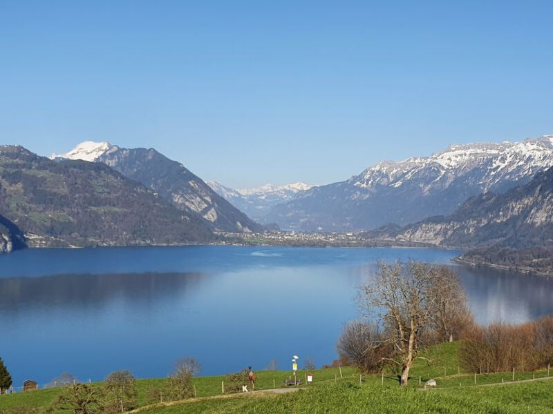 Panoramaferienwohnung Waldkircher