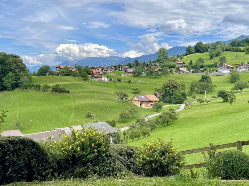 Panoramaferienwohnung Waldkircher