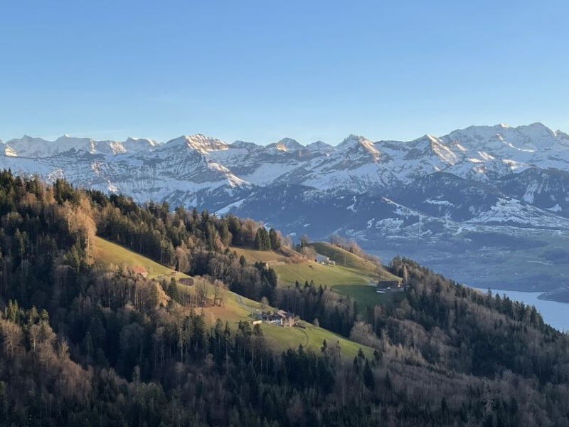 Panoramaferienwohnung Waldkircher