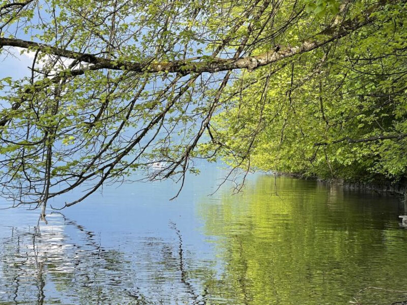 Panoramaferienwohnung Waldkircher