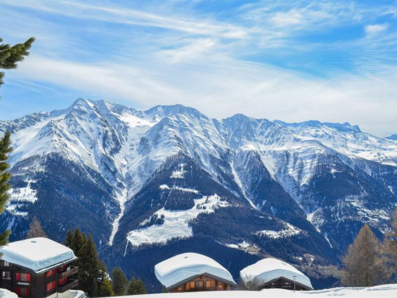 Vieux Valais Malisse